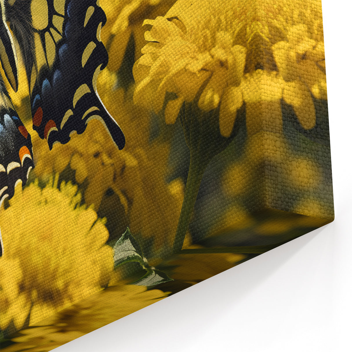 Beautiful Butterfly Wall Art - Nature Close-Up Wildlife Photography Print