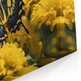 Beautiful Butterfly Wall Art - Nature Close-Up Wildlife Photography Print