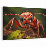 Bold Ant Close-Up Wall Art - Nature Wildlife Photography Canvas Print