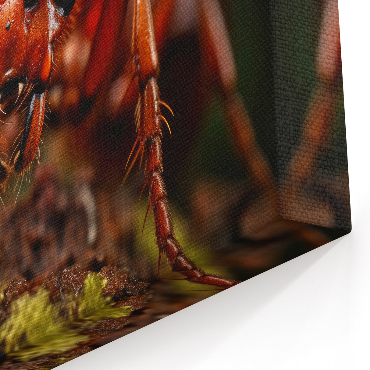 Bold Ant Close-Up Wall Art - Nature Wildlife Photography Canvas Print
