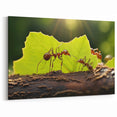 Ants Teamwork Close-Up Wall Art - Nature Wildlife Photography Canvas