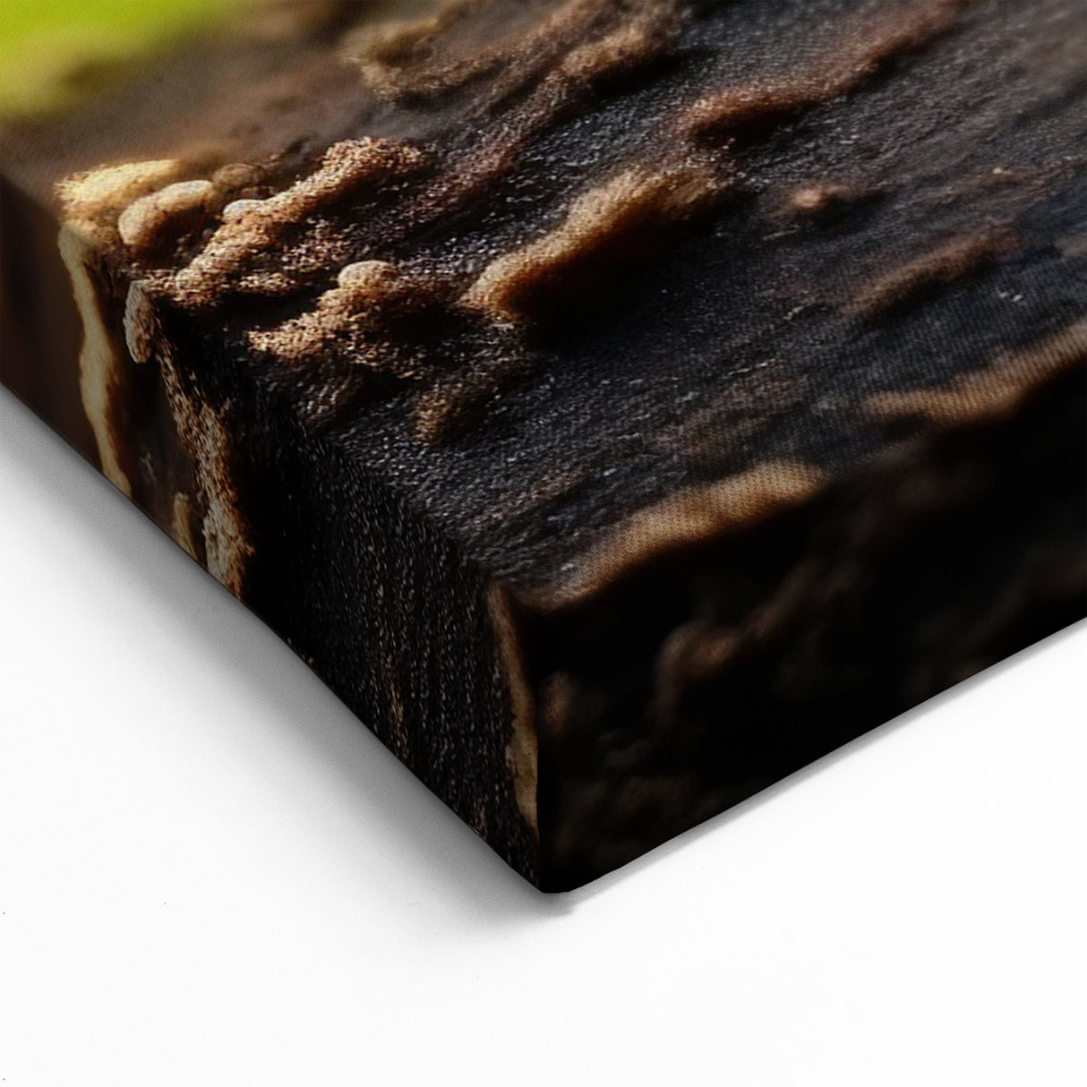 Ants Teamwork Close-Up Wall Art - Nature Wildlife Photography Canvas