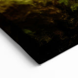 Ants in Nature Wall Art - Wildlife Close-Up Photography Canvas Print