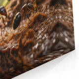 Ants in Nature Wall Art - Wildlife Close-Up Photography Canvas Print