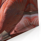 Tropical Yucatan Scenes - Vibrant Flamingo Mexico Yucatan Prints