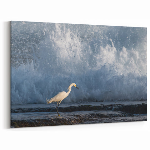 Tropical Beach Art - Puerto Rico Photography of Coastal Wildlife Scene