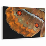 Animal Wall Art – Close-Up Butterfly Wing Print | Nature Art Canvas Prints