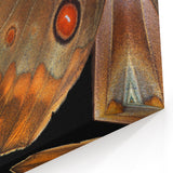 Animal Wall Art – Close-Up Butterfly Wing Print | Nature Art Canvas Prints