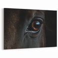 Animal Wall Art – Striking Horse Eye Close-Up | Wildlife Canvas Prints