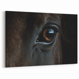 Animal Wall Art – Striking Horse Eye Close-Up | Wildlife Canvas Prints