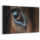 Animal Wall Art – Horse Eye Close-Up Print | Wildlife Canvas Collection