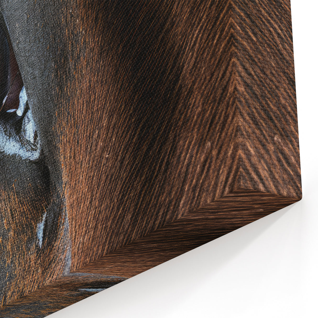Animal Wall Art – Horse Eye Close-Up Print | Wildlife Canvas Collection