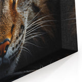 Animal Wall Art – Majestic Lynx Close-Up | Nature Wildlife Canvas Prints