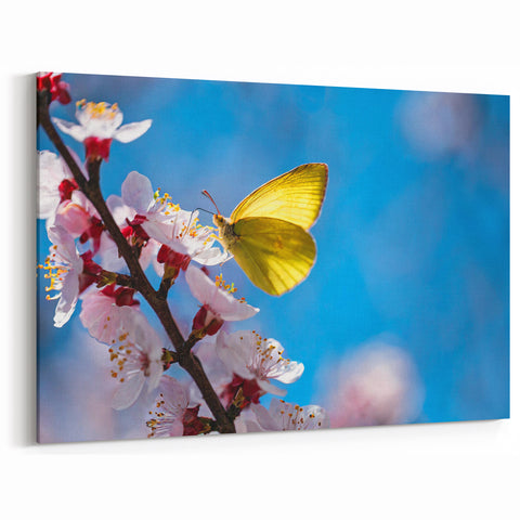 Butterfly Wall Art – Yellow Butterfly on Flowers | Nature Canvas Prints