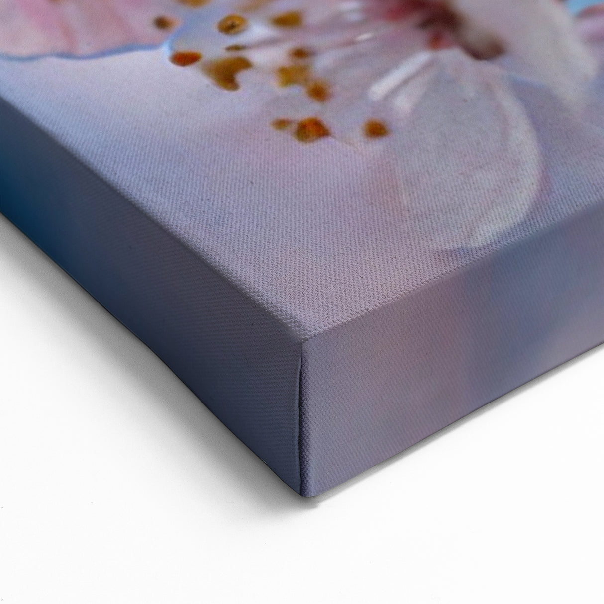 Butterfly Wall Art – Yellow Butterfly on Flowers | Nature Canvas Prints