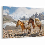 Northern Pakistan Canvas Art – Scenic Karakoram Mountain Landscape Print