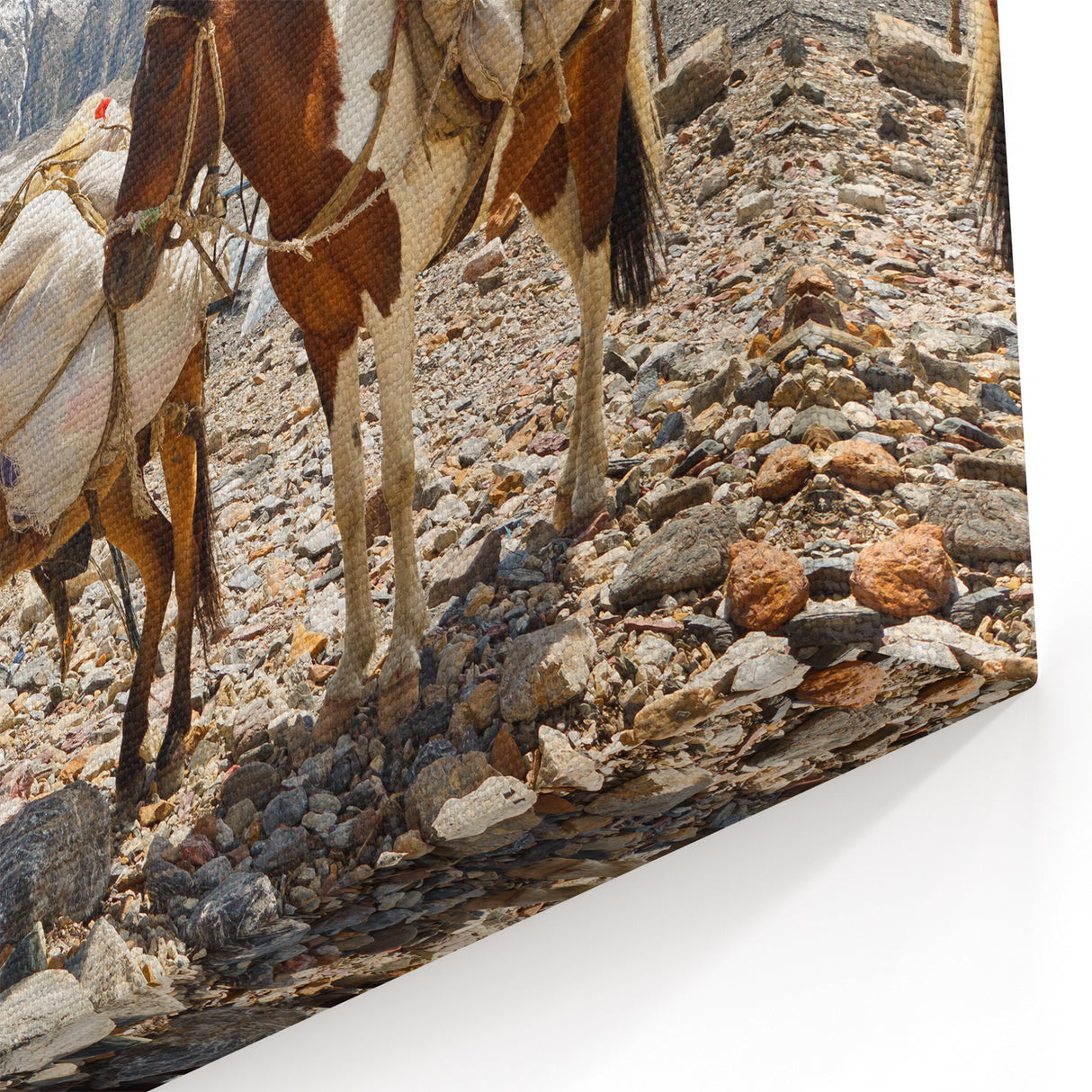 Northern Pakistan Canvas Art – Scenic Karakoram Mountain Landscape Print