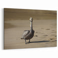 Puerto Rico Wall Art - Caribbean Pelican on Sandy Beach Photography
