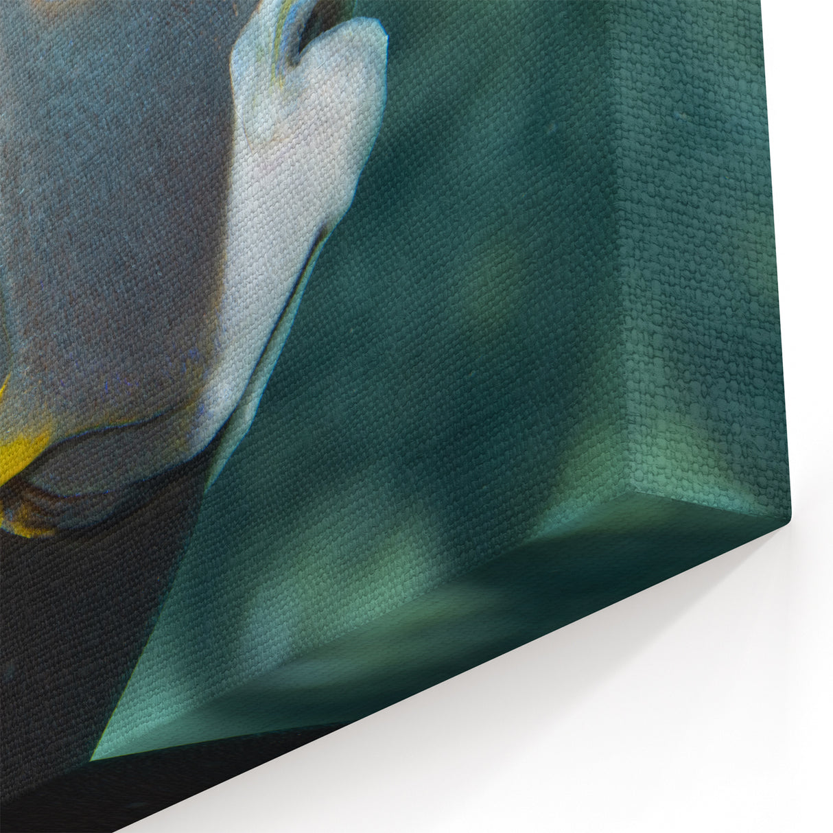 Caribbean Islands Artwork - Puerto Rico Tropical Fish Photography Print