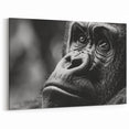 Gorilla Wall Art – Black and White Close-Up | Nature Canvas Prints