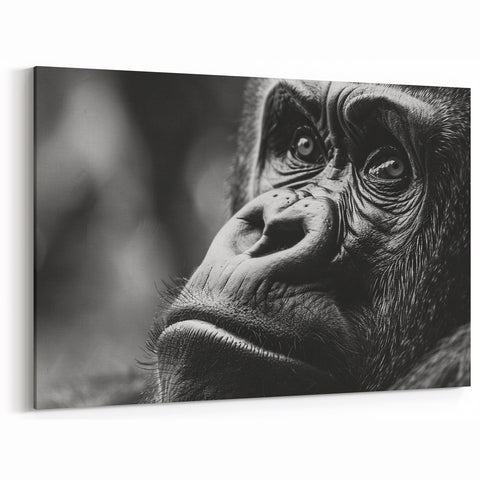 Gorilla Wall Art – Black and White Close-Up | Nature Canvas Prints