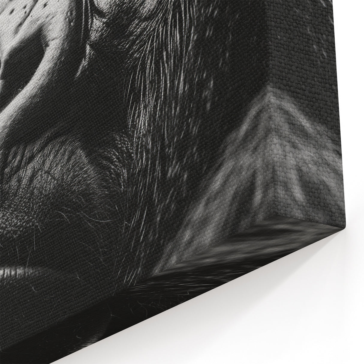 Gorilla Wall Art – Black and White Close-Up | Nature Canvas Prints