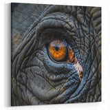 Animal Wall Art – Close-Up Eye Detail | Wildlife Canvas Prints