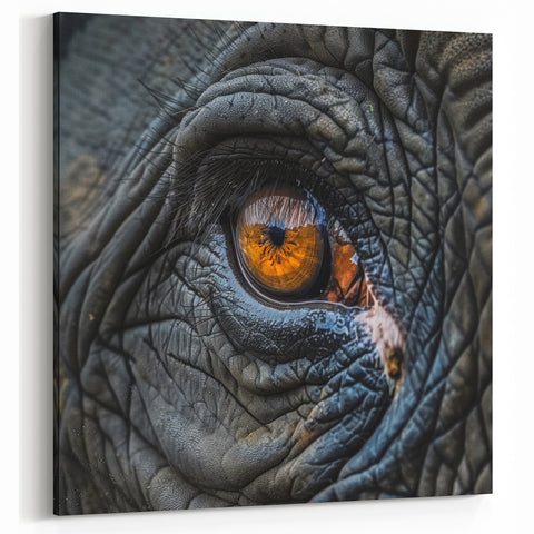 Animal Wall Art – Close-Up Eye Detail | Wildlife Canvas Prints