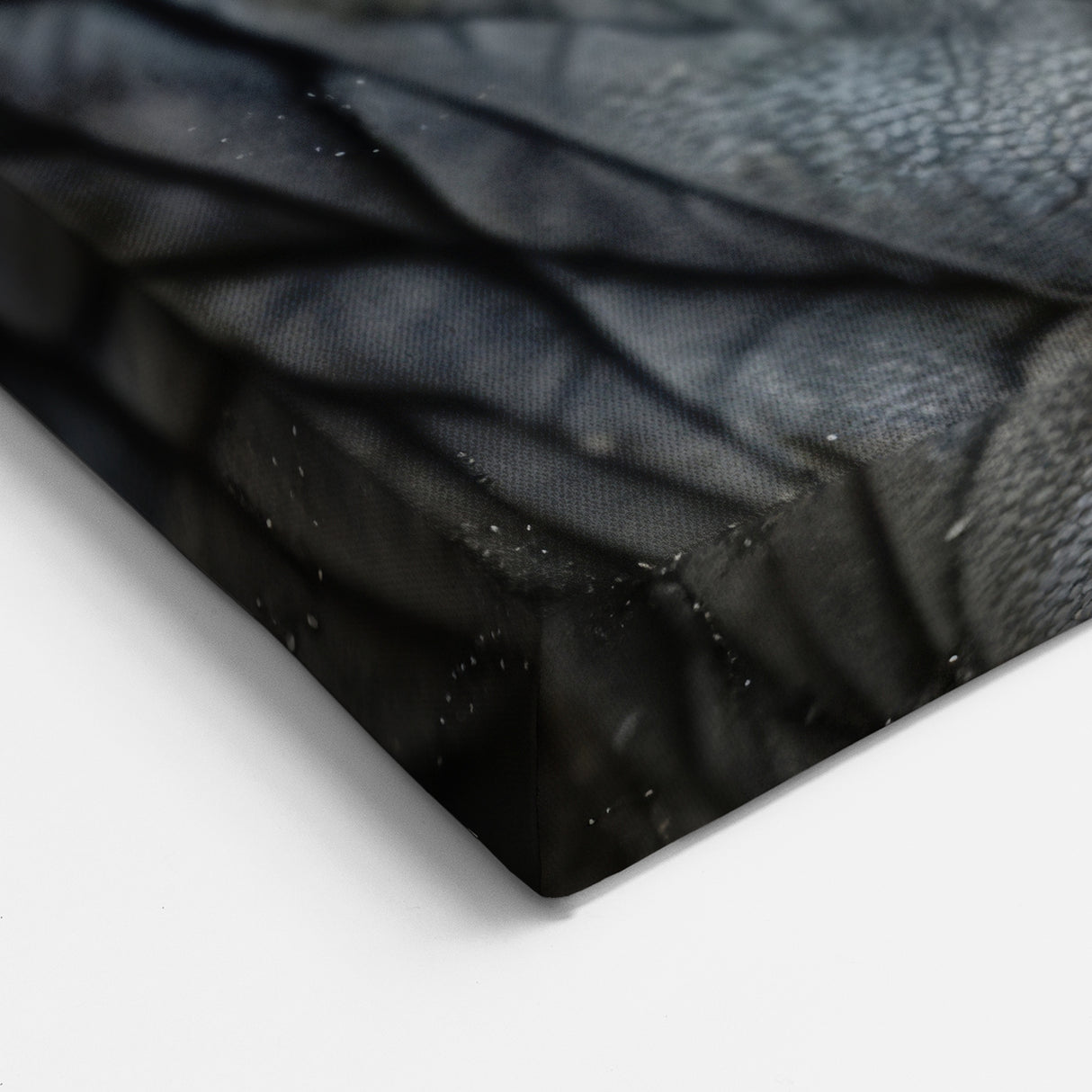 Animal Wall Art – Close-Up Eye Detail | Wildlife Canvas Prints