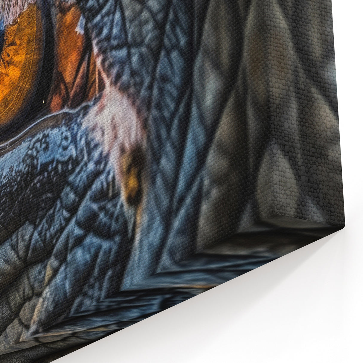 Animal Wall Art – Close-Up Eye Detail | Wildlife Canvas Prints