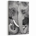 Elephant Wall Art – Black and White Wildlife Print | Nature Canvas Art