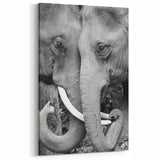Elephant Wall Art – Black and White Wildlife Print | Nature Canvas Art