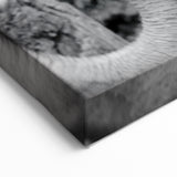 Elephant Wall Art – Black and White Wildlife Print | Nature Canvas Art