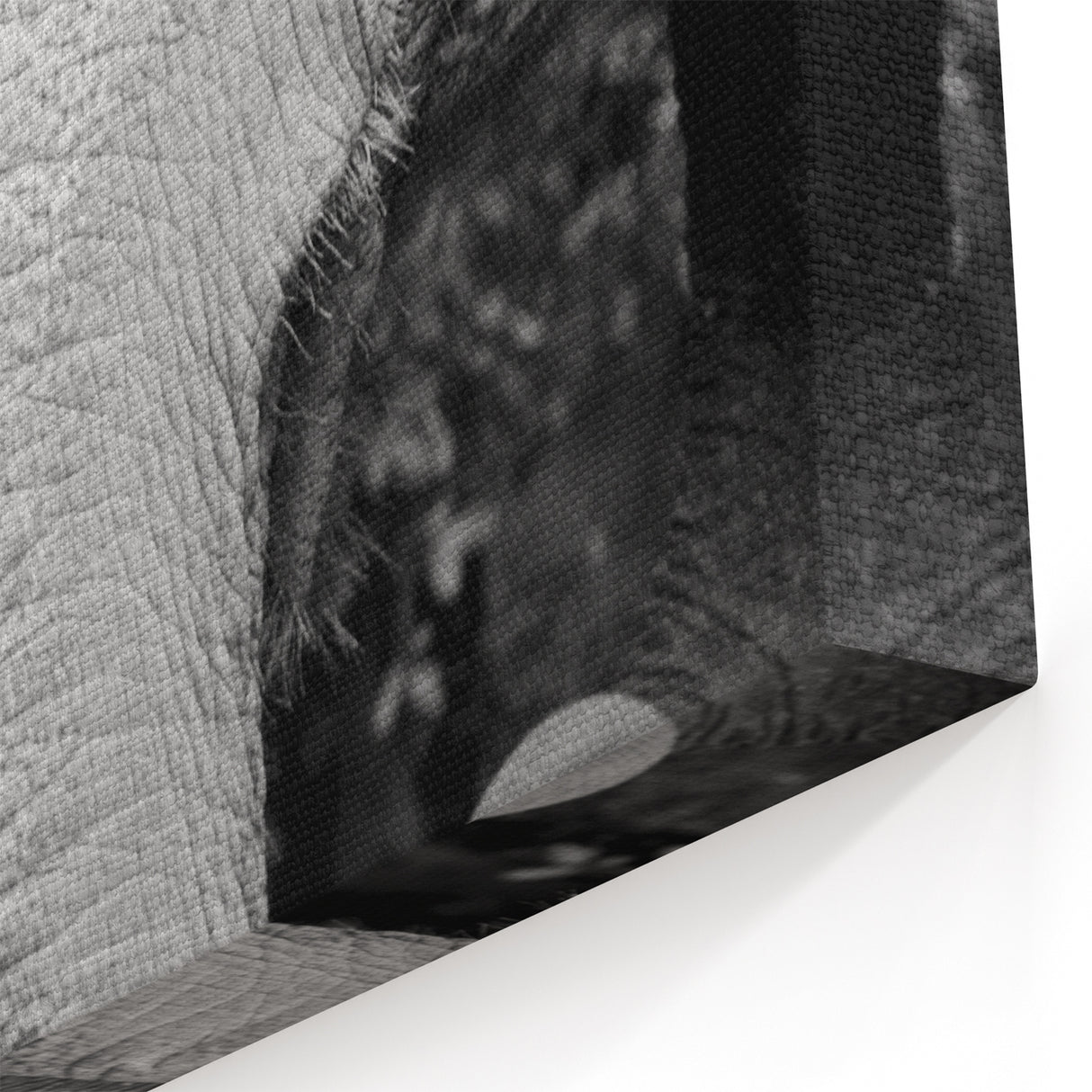 Elephant Wall Art – Black and White Wildlife Print | Nature Canvas Art