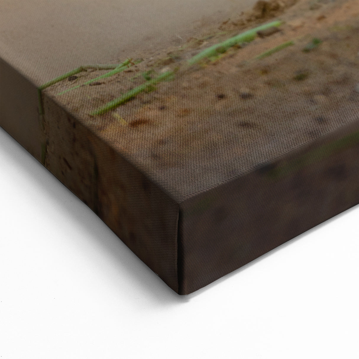 Blackbuck Antelope Fight Wall Art – Dynamic Wildlife Photography Print