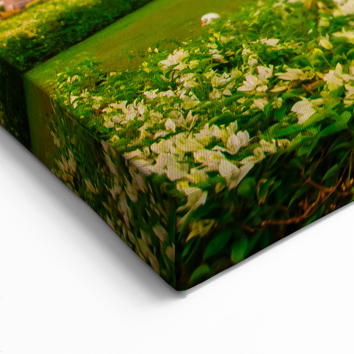 Filipino Culture Artwork - Historic Church at Sunset in Southeast Asian Art