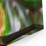 Philippines Wall Art - Tropical Tarsier Southeast Asian Island Paradise Canvas