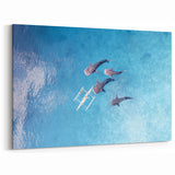 Whale Sharks in Philippines Waters - Island Paradise Canvas Art Print