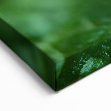 Ladybug Close-Up - Vibrant Nature & Animal Wall Art for Home Deco