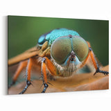 Detailed Insect Close-Up - Stunning Animal Wall Art & Nature Collection