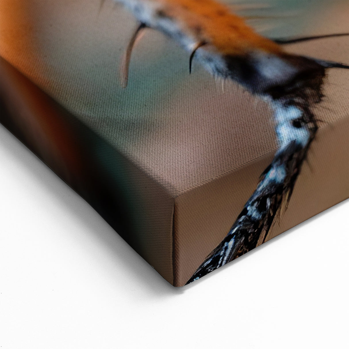 Detailed Insect Close-Up - Stunning Animal Wall Art & Nature Collection