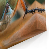 Detailed Insect Close-Up - Stunning Animal Wall Art & Nature Collection