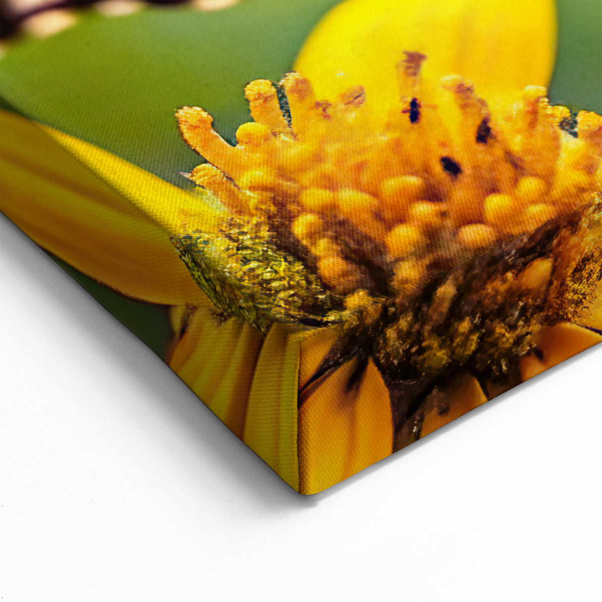 Monarch Butterfly Close-Up - Stunning Nature & Animal Wall Art Print