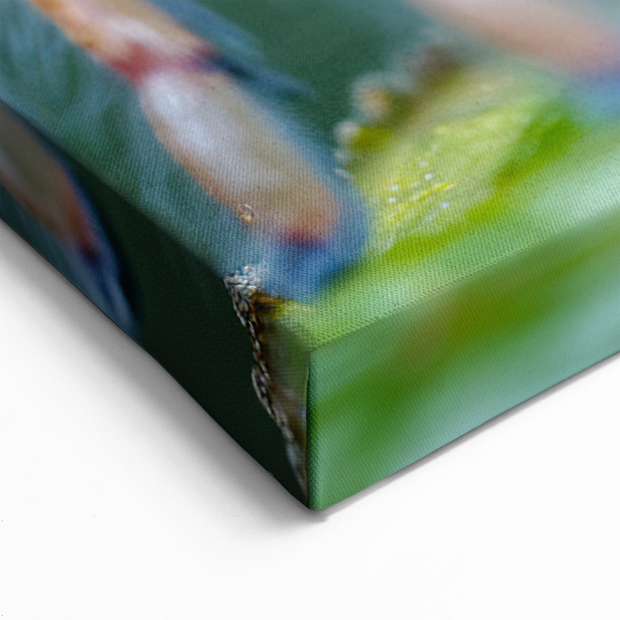 Detailed Spider Close-Up - Nature Inspired Animal Wall Art Collection