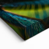 Vibrant Insect Close-Up - Stunning Animal Wall Art & Nature Collection