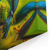 Vibrant Insect Close-Up - Stunning Animal Wall Art & Nature Collection