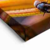 Macro Fly Close-Up - Stunning Animal Wall Art & Nature Collection