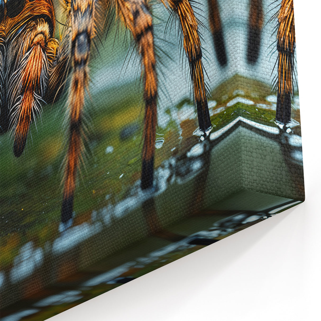 Intricate Spider Close-Up - Stunning Animal Wall Art & Nature Collection