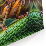 Colorful Insect Close-Up - Stunning Animal Wall Art for Nature Lovers