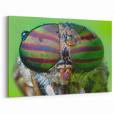 Macro Insect Eyes Close-Up - Vivid Animal Wall Art for Nature Lovers